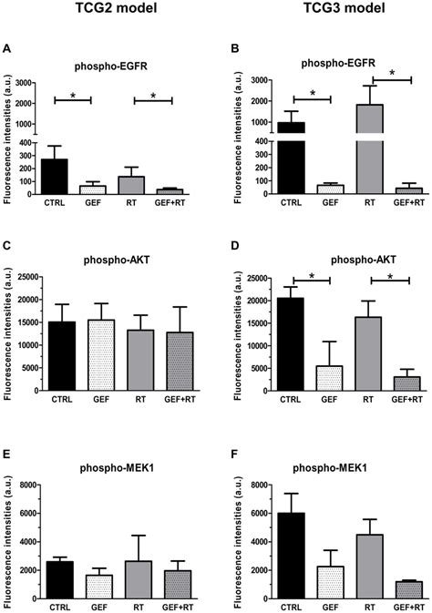 Effect Of Gefitinib And Or Fractionated Radiotherapy On Phospho EGFR