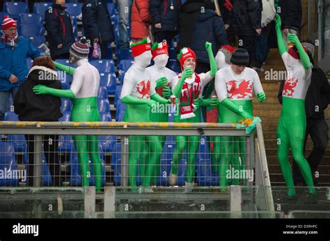 Welsh Rugby Fans Celebrate A Wales Victory At The Final Whistle Stock