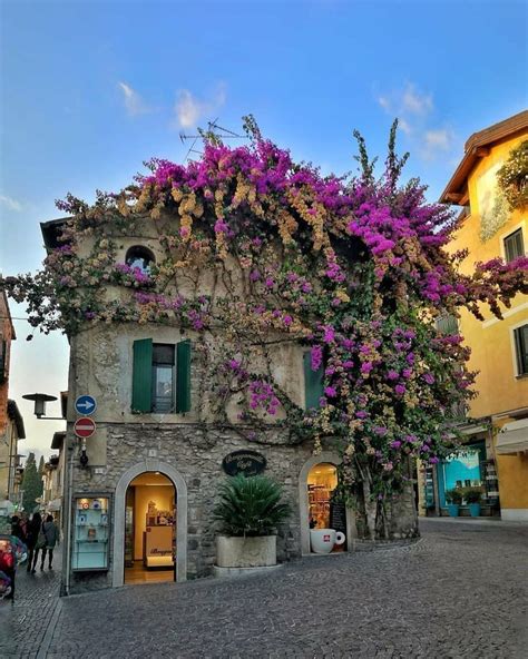 an old stone building with purple flowers growing on it's side and ...