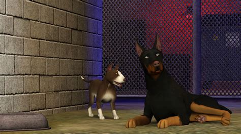 The Sims™ 3 Pets on Steam