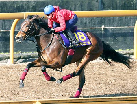 【池添謙一のken To 1・特別版】メイケイエールに何としても大きいタイトルを取らせたい スポーツ報知