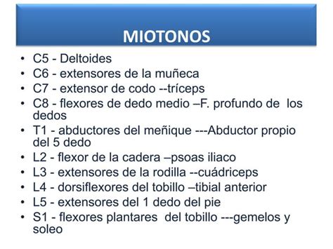 Trauma De La Columna Vertebral Y Medula Espinal Ppt