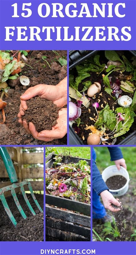 Organic Diy Garden Fertilizer Recipes That Ll Beautify Your Garden