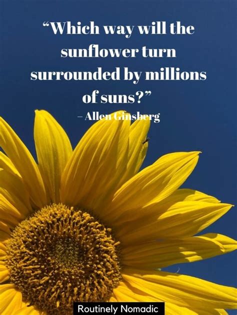 Short Flower Quotes 110 Amazing Flower Sayings Routinely Nomadic