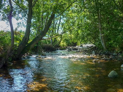 Romania: Management of Protected Areas and Wild Rivers