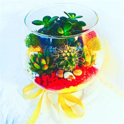 Флорариум ФрешФлор | ArtFlorarium.ru