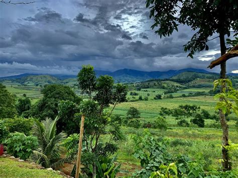 Mountain view horizon stock image. Image of plantation - 230700531