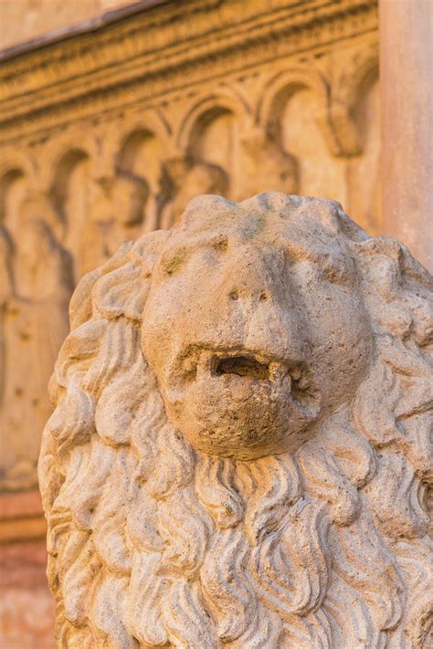 Romanesque Lion Statue Photograph By Vivida Photo Pc Fine Art America