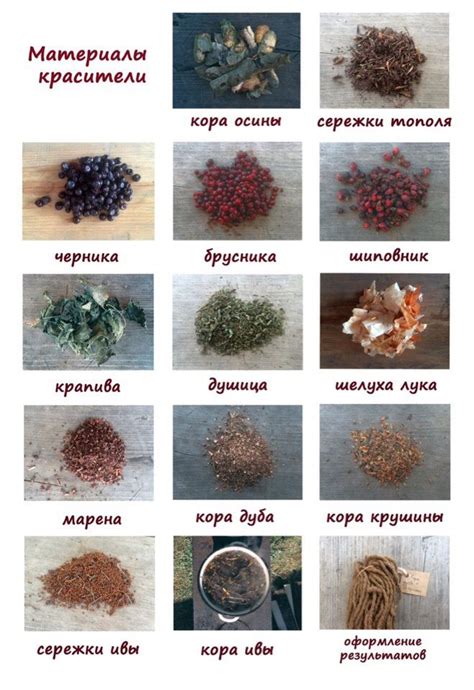 ПРИРОДНЫЕ КРАСИТЕЛИ (с изображениями) | Красители