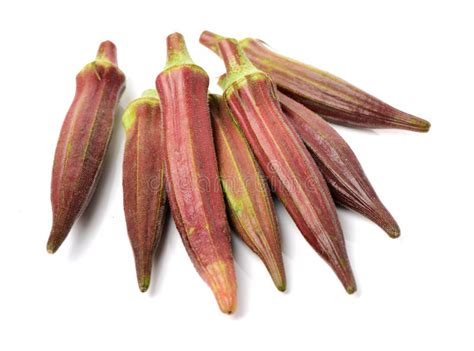 red okra stock photo image  healthy nutrient ladyfinger
