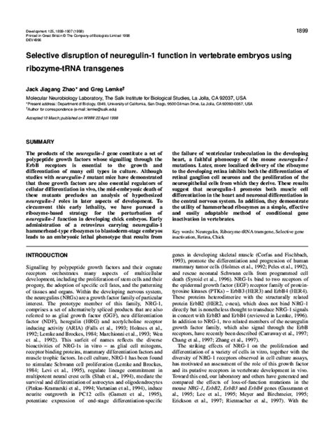 (PDF) Selective disruption of neuregulin-1 function in vertebrate embryos using ribozyme-tRNA ...