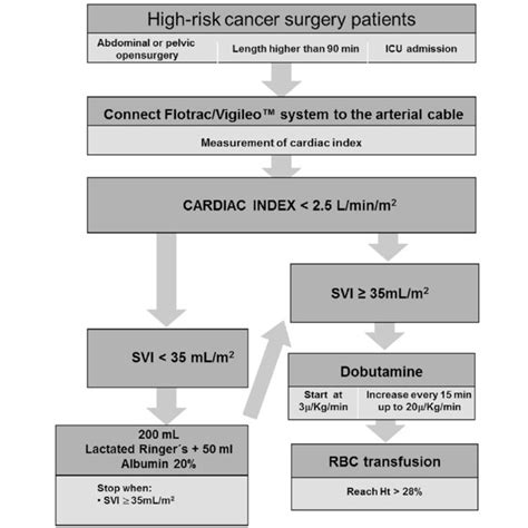 Algorithm of treatment in the goal-directed hemodynamic therapy (GDHT ...