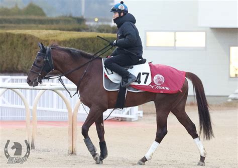 アスクコンナモンダ 競走馬詳細 Umatoku 馬トク