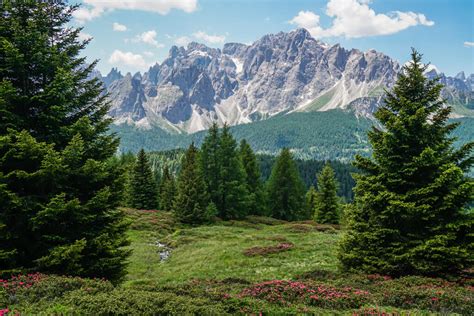 Sextner Almwanderung Zur Nemesalm Mit Mega Dolomiten Panorama