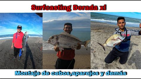 ROBALO SARGOS Y DORADA XL PESCA SURFCASTING ALMERÍA YouTube