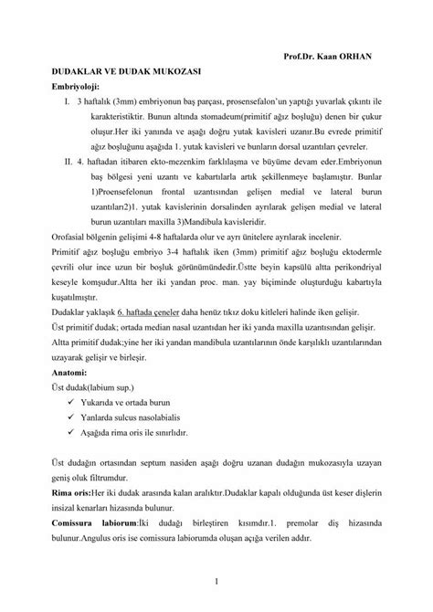 Pdf Prof Dr Kaan Orhan Dudaklar Ve Dudak Mukozasi Acikarsiv Ankara