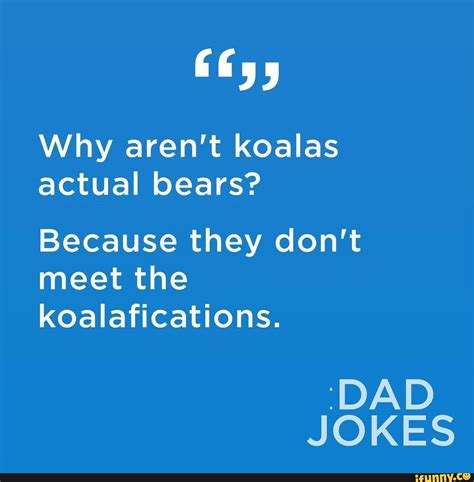 Koala Bear Meme Koalafications