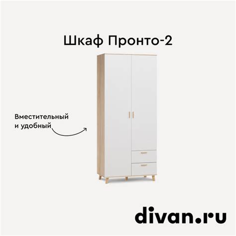 Шкаф распашной divan.ru Распашной шкаф Пронто-2-100-220, 100x50x220 см ...