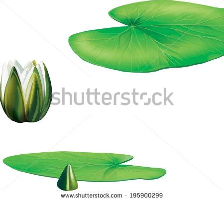 Lotus Leaf Drawing at GetDrawings | Free download