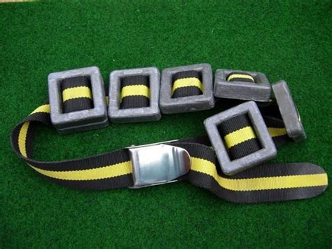 Diving Weight Belt How To Choose The Right Size And More Tips