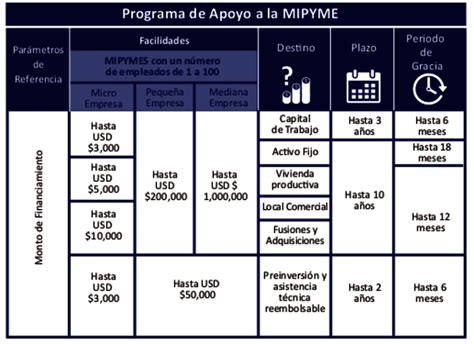 Programa de Apoyo a las MIPYMES Banco Centroamericano de Integración