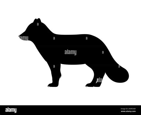 Arctic Fox Silhouette Vector Illustration Black Silhouette Of A Fluffy