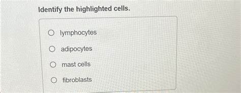 Solved Identify The Highlighted Chegg