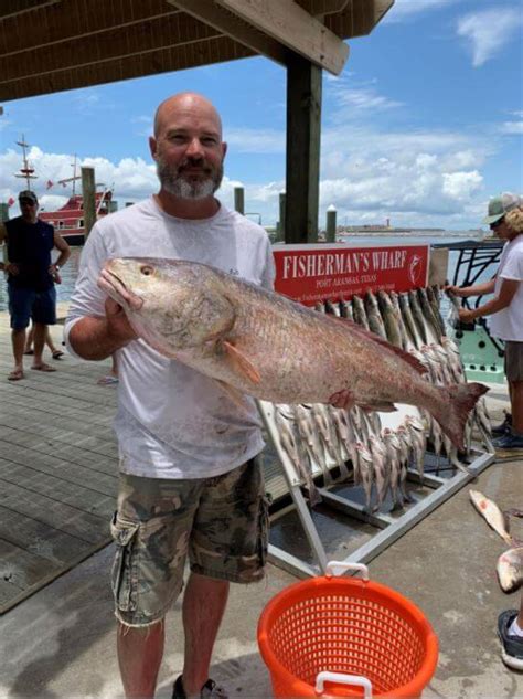 Port Aransas Fishing Pier Catch - Port Aransas Fisherman's Wharf