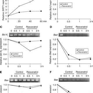 Resveratrol Upregulates The Expression Of The Sirtuin 1 MRNA And