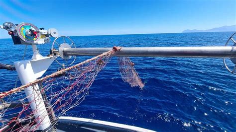 Terrasini Rete Da Pesca Illegale Sequestrata Dalla Guardia Costiera