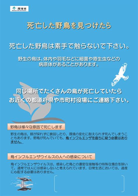 高病原性鳥インフルエンザに関する情報（対応レベル3）｜いわき市役所