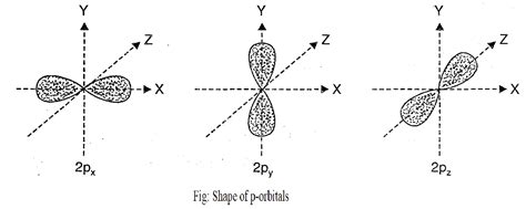 Shape Of Atomic Orbitals Km Chemistry