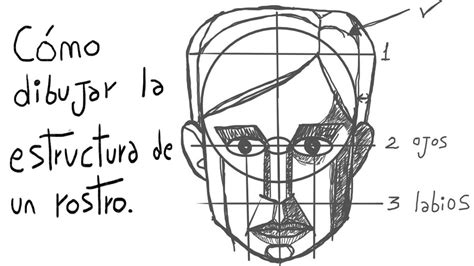 C Mo Dibujar La Estructura De Un Rostro Frontal Pedro Arias Youtube