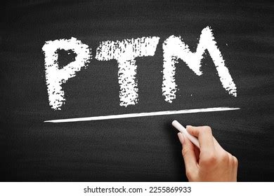 Ptm Physical Technology Model Acronym Text Stock Photo 2255869933 ...