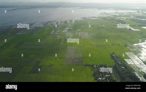 Aerial view of agricultural land, rice terraces near the lake Bato ...