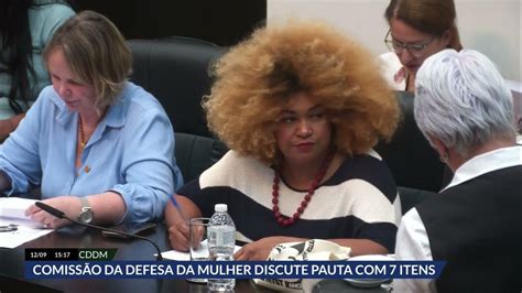 Alesp Promove Reunião Da Comissão De Defesa E Direito Das Mulheres E