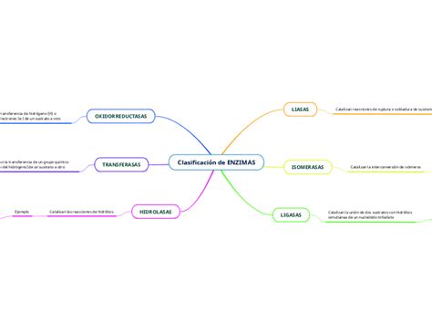 Clasificación de ENZIMAS Mind Map