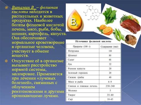 Где больше всего фолиевой кислоты: 10 лучших источников фолиевой кислоты