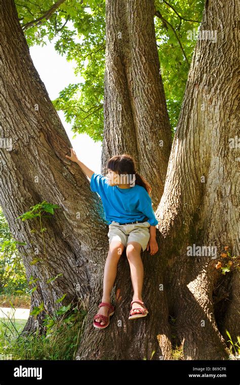 Fille Assise Sur Un Tronc D Arbre En Banque De Photographies Et D