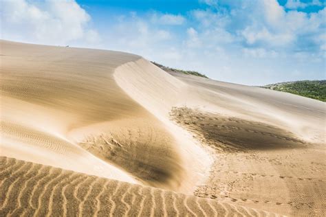 Sigatoka Sand Dunes National Park (Official GANP Park Page)