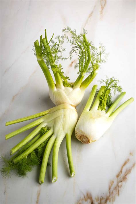 Easy Braised Fennel Recipe - Debra Klein