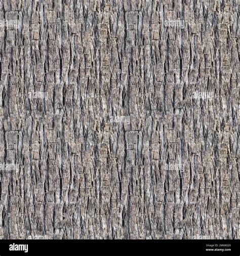 Seamless Texture Of Brown Palm Tree Bark Natural Background Stock