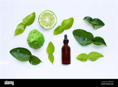 Bottle Of Essential Oil And Fresh Kaffir Lime Or Bergamot Fruit With Leaves Isolated On White