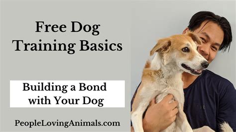 Free Dog Training Basics | Dog Training 101 How to Bond With Your Dog #dogtraining # ...