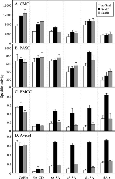 Activity Of Cel5A And Its Various Chimeric Derivatives On Different