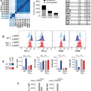 Msp Ron Signaling Upregulates Pd L And Cd Molecules On Macrophage