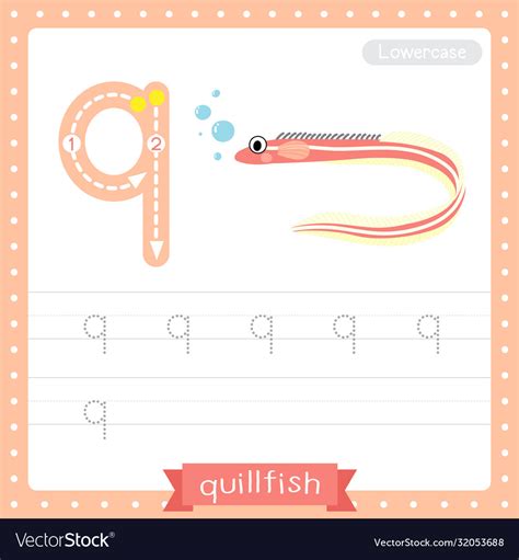 Letter Q Lowercase Tracing Practice Worksheet Vector Image