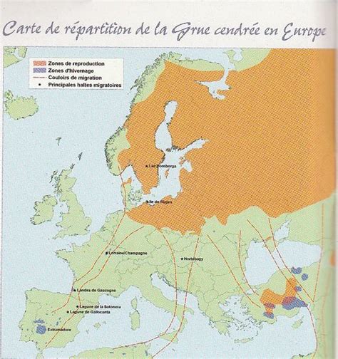 Total 97 imagen carte de migration des grues cendrées fr