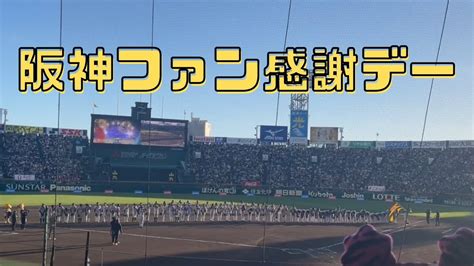 2023阪神タイガースファン感謝デー！真面目にインタビュー受けてきました！ Youtube