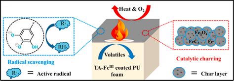 Mechanism Scheme Of Ta Fe Iii Mpn Flame Retardant Reproduced With